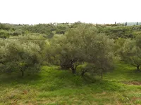 Недвижимость Дом, Порторож, Сеча: 2