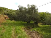 Недвижимость Дом, Порторож, Сеча: 14