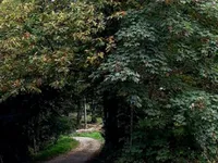 Недвижимость Дом Явор в Люблянске Добрунье: 18