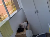 Недвижимость Квартира, 3 комн. Новое Поле: 32