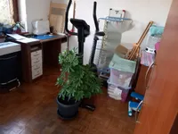 Недвижимость Квартира, 4-комнатная, Изола: 28