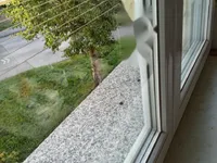 Недвижимость Квартира, 1-комнатная Ново Ярше: 10