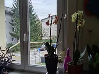 Недвижимость Квартира, 1-комнатная Ново Ярше: 18