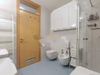 Недвижимость Квартира, более 5 комнат на Руднике: 17