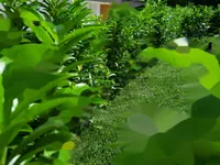 Недвижимость Двухкомнатная квартира на Долинска Цеста в Копере: 19