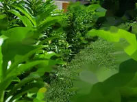 Недвижимость Квартира 2,5 комнаты Малия 95А: 19