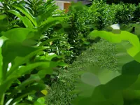 Недвижимость Квартира Малия 95А: 18