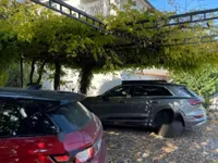 Недвижимость Дом, Ягодье: 4