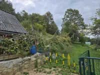 Недвижимость Дом, Граденц: 16