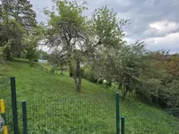 Недвижимость Дом, Граденц: 17