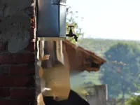 Недвижимость Дом, Херцеговщак: 7