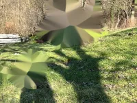 Недвижимость Дом в Храсте об Бистрице: 14