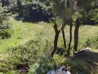 Недвижимость Дом, Локовец: 7