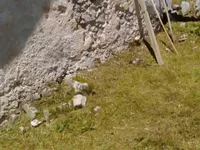 Недвижимость Дом, Локовец: 13