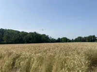 Недвижимость Дом Лопершицы Ормож Околица: 16