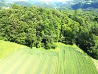 Недвижимость Дом, Планински Врх, Шентюр: 24