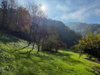 Недвижимость Дом Куншперк Бистрица об Сотли: 6