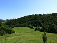 Недвижимость Дом, Лесично: 16