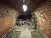 Недвижимость Дом, Бельский Врх: 24