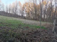 Недвижимость Дом, Рачки Врх: 20