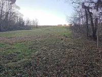 Недвижимость Дом, Рачки Врх: 21
