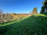 Недвижимость Дом у реки Крка в Велике Маленце: 25