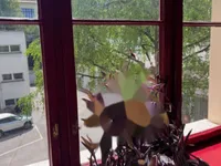 Недвижимость Квартира на Баварском Дворе: 14