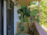Недвижимость Дом в Идиллическом Залоге: 11