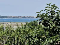 Недвижимость Дом, Сеча: 4