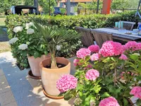 Недвижимость Дом, Сеча: 17