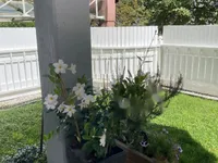 Недвижимость Трёхкомнатная квартира в Старом Льбляне с видом на Суштарский мост: 7