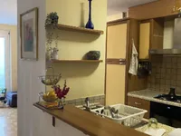 Недвижимость Трёхкомнатная квартира в Старом Льбляне с видом на Суштарский мост: 23