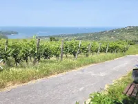 Недвижимость Двухкомнатная квартира в Коломбане: 2