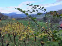 Недвижимость Дом, Бели-Поток-при-Лембергу: 5