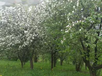 Недвижимость Дом, Бели-Поток-при-Лембергу: 53