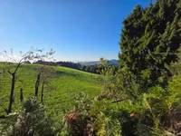 Недвижимость Дом, Планица: 17