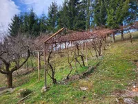 Недвижимость Дом, Рыавица: 5