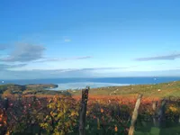 Недвижимость Двухкомнатная квартира Коломбан: 24