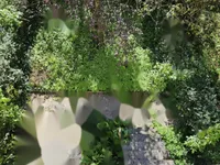 Недвижимость Дом с террасой Новая Любляна Бежиград: 18