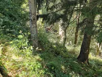 Недвижимость Участок, Кметияново Доблар, на солнечном краю плато.: 10