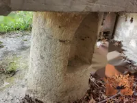 Недвижимость Участок, Кметияново Доблар, на солнечном краю плато.: 16