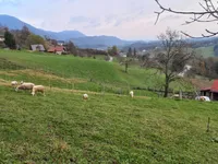 Недвижимость Дом, Бели-Поток-при-Лембергу: 48