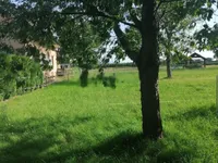 Недвижимость Дом, Средишче-об-Драви: 6