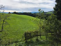 Недвижимость Дом, Планица: 15