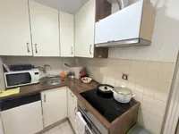 Недвижимость Квартира, 1 комната, центр Любляны: 4