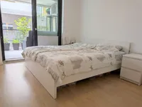 Недвижимость Квартира в районе Шишка: 8