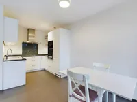 Недвижимость Apartment 1 bedroom for sale in Luxembourg-Merl: 4