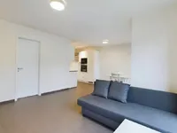 Недвижимость Apartment 1 bedroom for sale in Luxembourg-Merl: 7