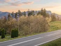 Недвижимость Участок для инвестиций Новый Блед: 1