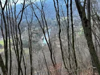 Недвижимость Участок для инвестиций Новый Блед: 3